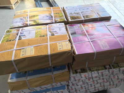 样本印刷的流程都有哪些？