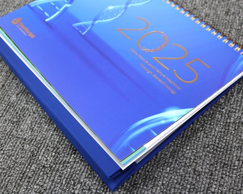 2025年艺术纸台历定制