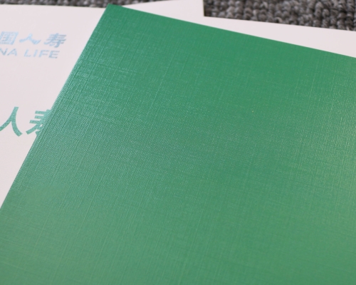 中国人寿江苏分公司宣传册印刷